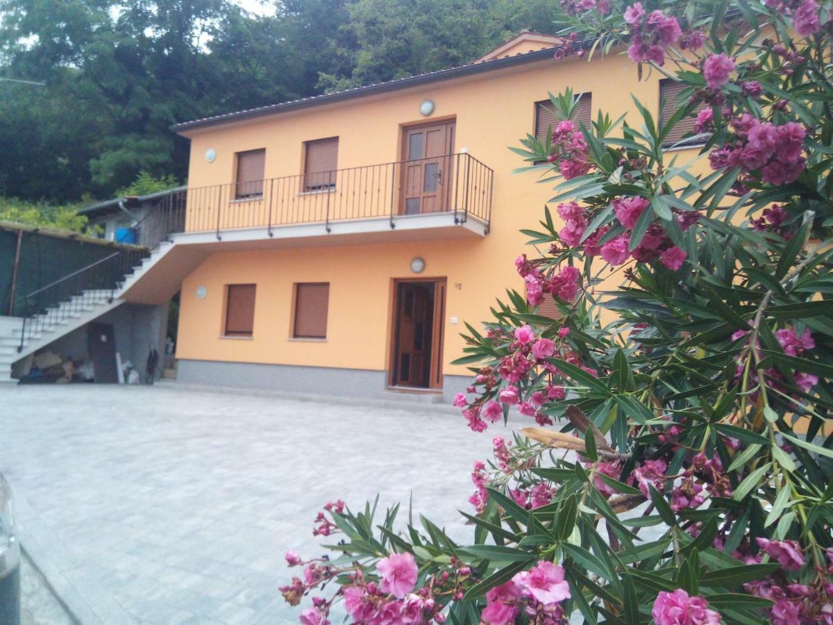 Apartmaji Matazin Črni Kal Εξωτερικό φωτογραφία